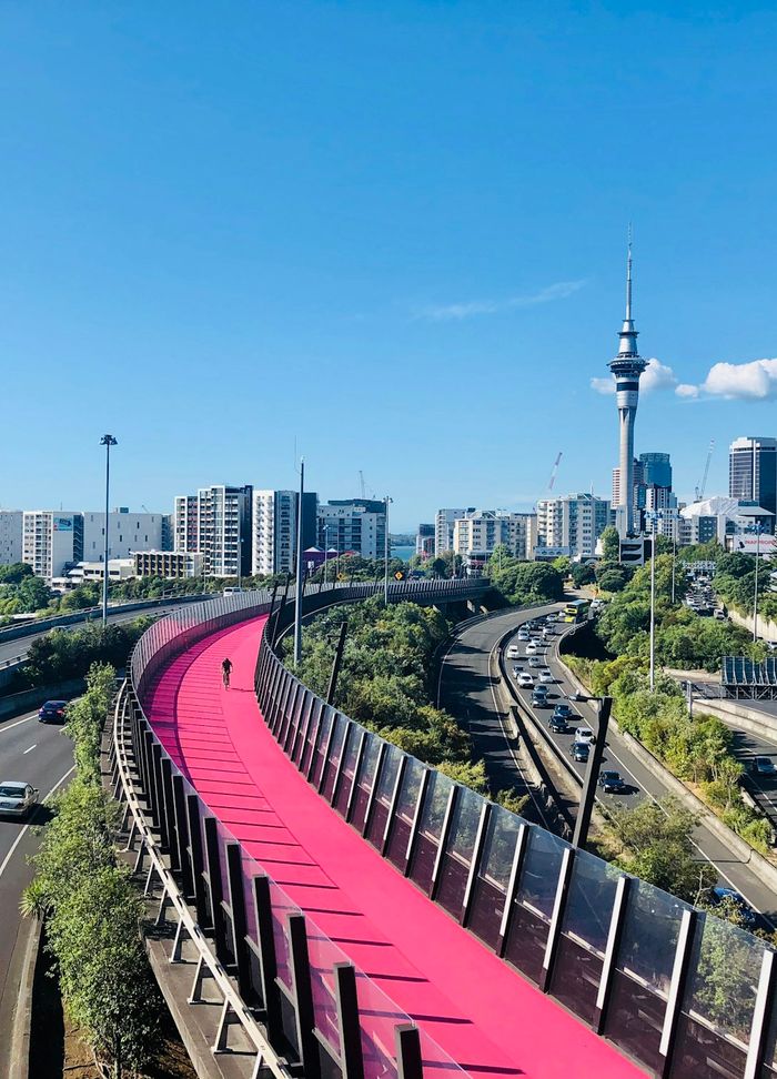 Auckland Sky Tower rising above the city motorway and the pink Lightpath cycleway