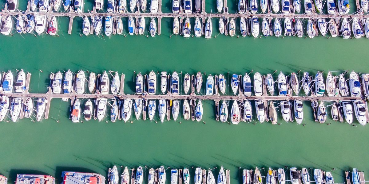 Yachts moored in rows at a New Zealand marina