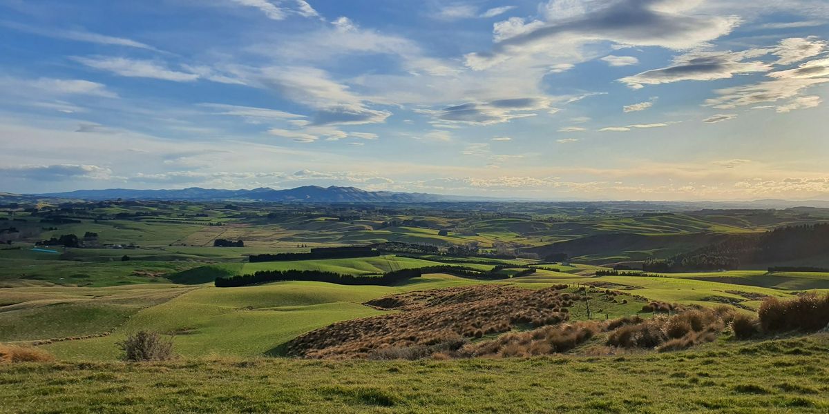 A Southland sheep farm with rolling green hills