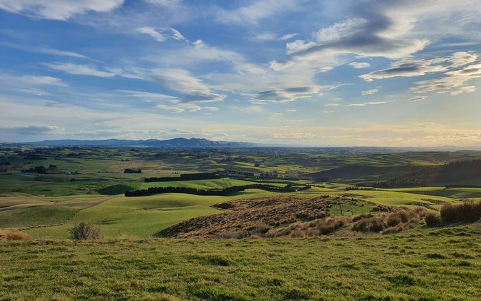 A Southland sheep farm with rolling green hills