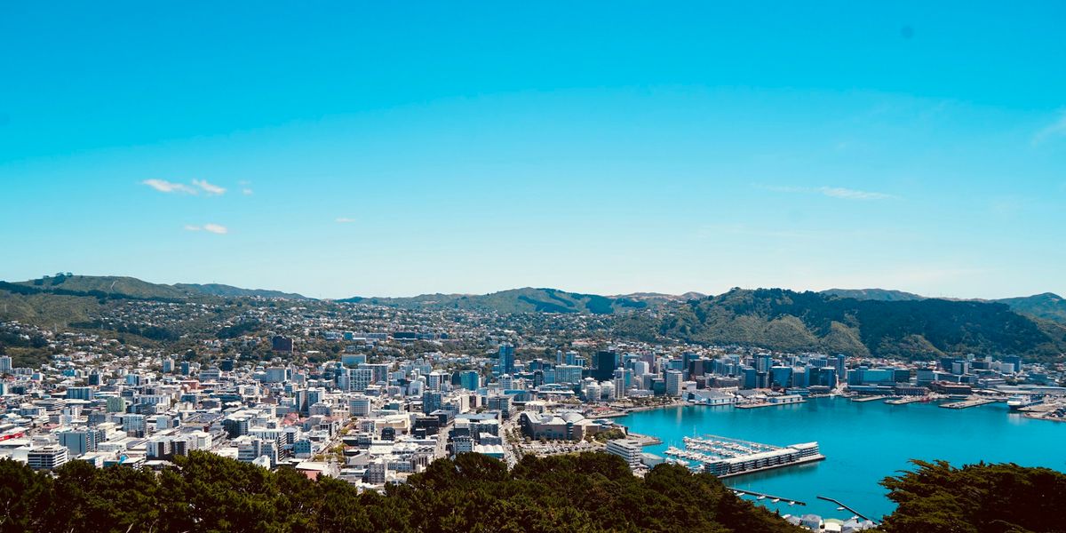 Wellington city and harbour under a clear blue sky