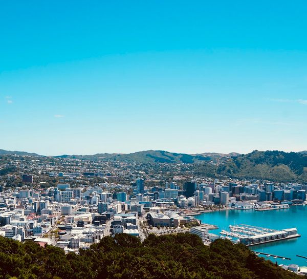 Wellington city and harbour under a clear blue sky