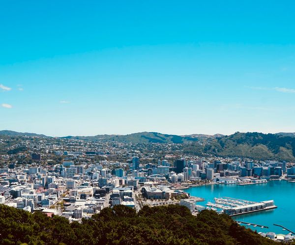 Wellington city and harbour under a clear blue sky