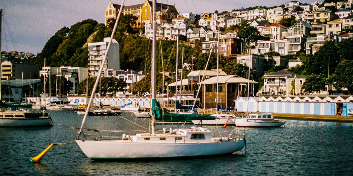 Boats moored in a Wellington marina with houses on the hills behind