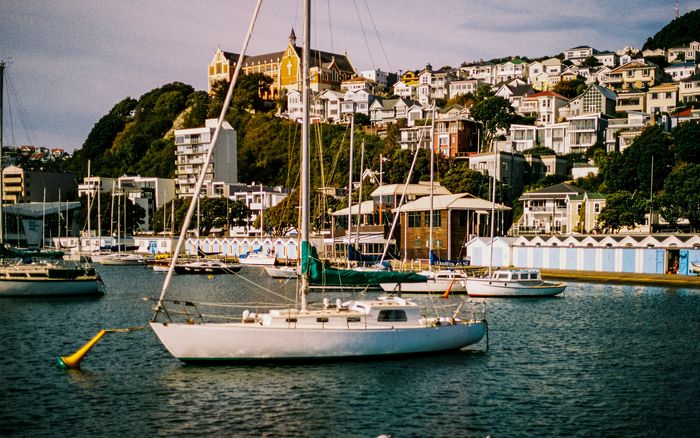 Boats moored in a Wellington marina with houses on the hills behind