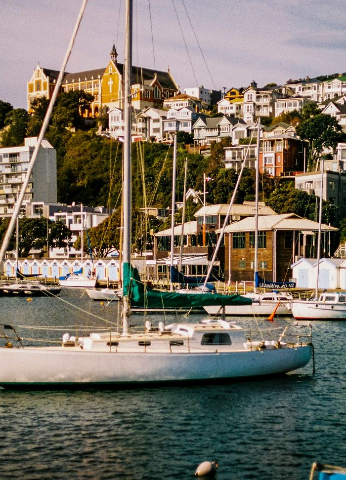 Boats moored in a Wellington marina with houses on the hills behind
